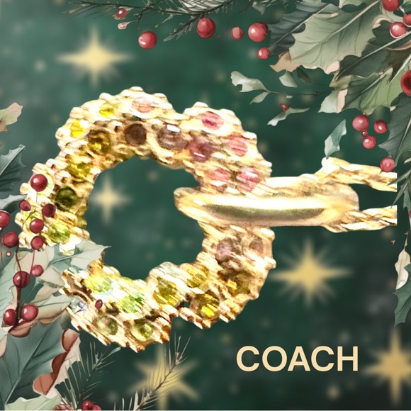 COACH Earrings FOR SALE. NEW Lovely screw backs earrings. - Picture 11 of 11